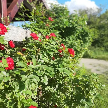Apartament An Der Teufelskanzel *