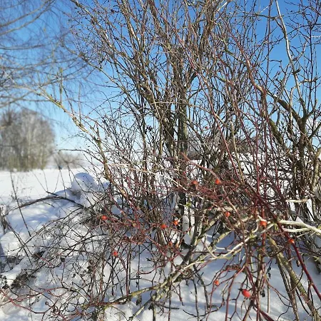 An Der Teufelskanzel Annaberg-Buchholz