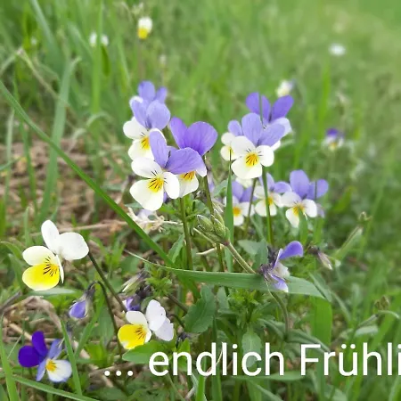 An Der Teufelskanzel *