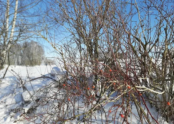 An Der Teufelskanzel Annaberg-Buchholz